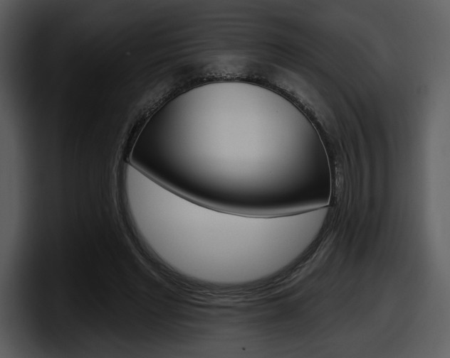 X0000098090493200804040729