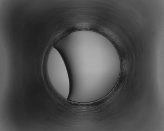 X0000098090494200804040729