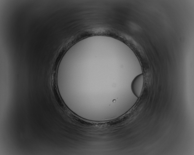X0000098090495200804040729