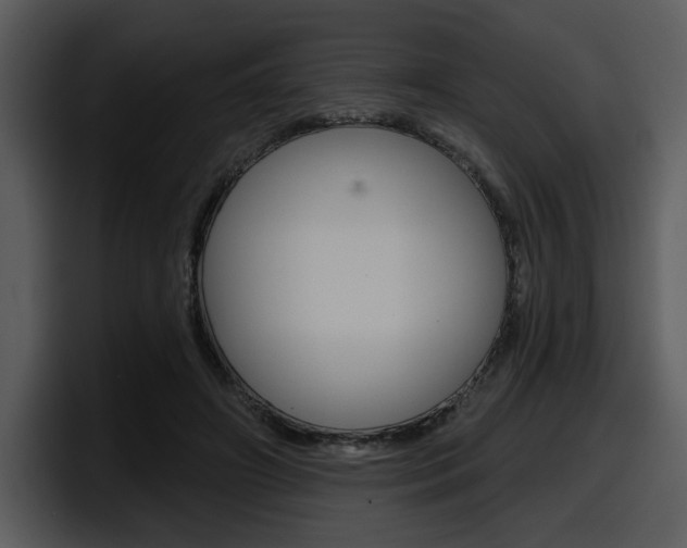 X0000098090498200804040729