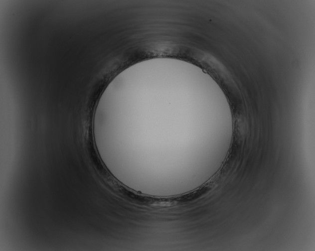 X0000098090499200804040729