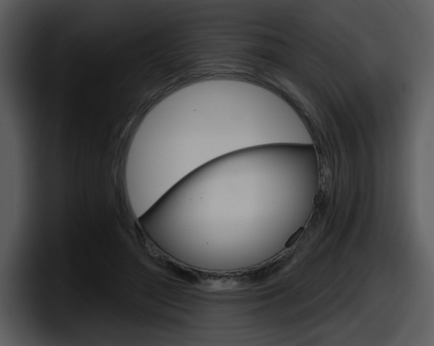 X0000098090500200804040729