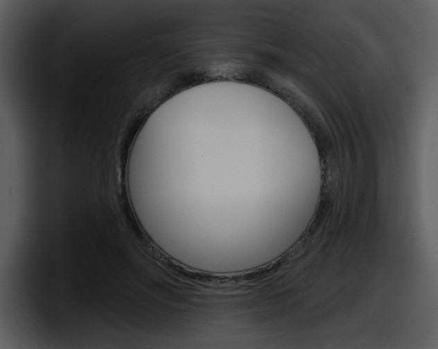 X0000098090502200804040729