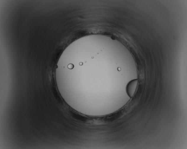 X0000098090503200804040729