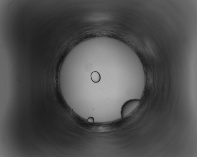 X0000098090506200804040729