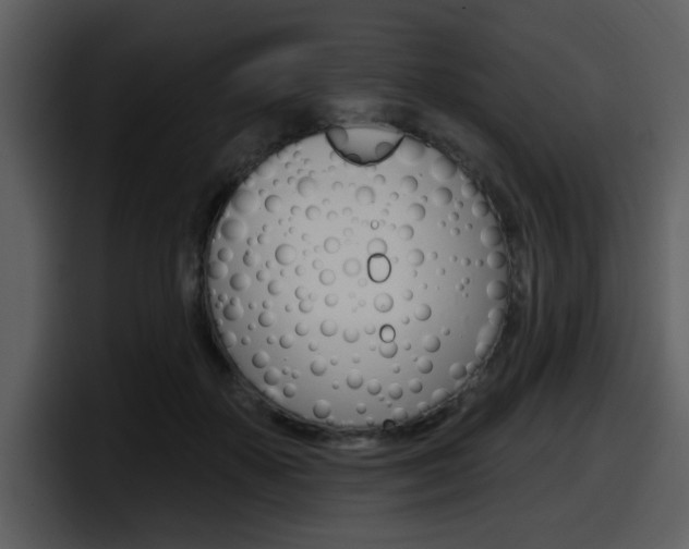X0000098090507200804040729