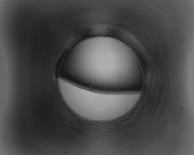 X0000098090508200804040729
