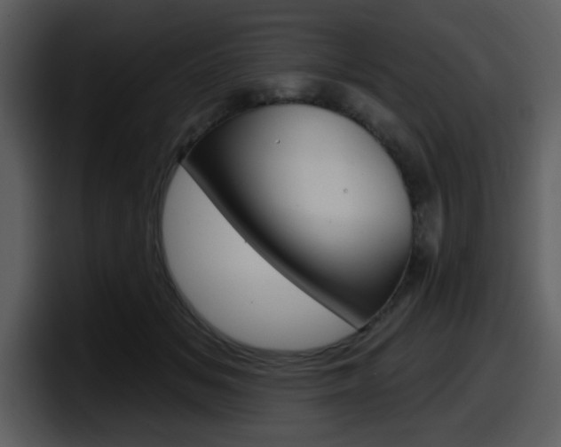 X0000098090509200804040729