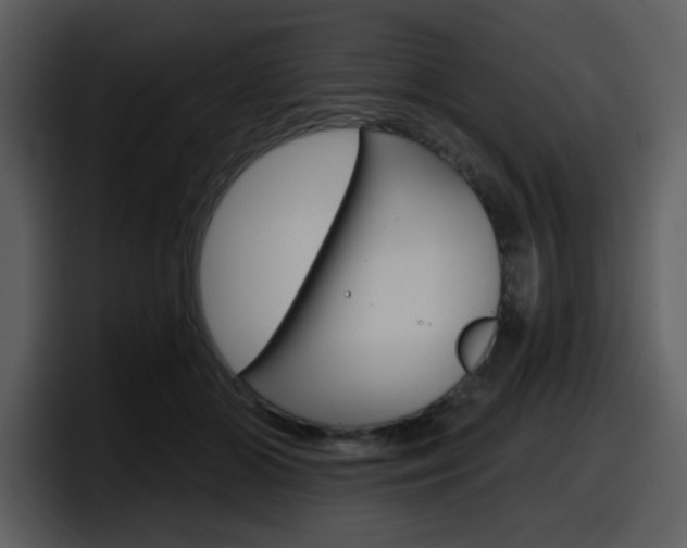 X0000098090510200804040729
