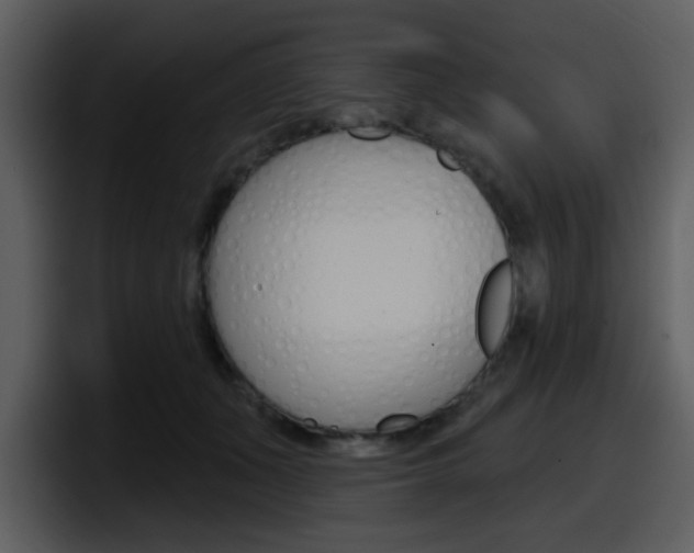 X0000098090511200804040729