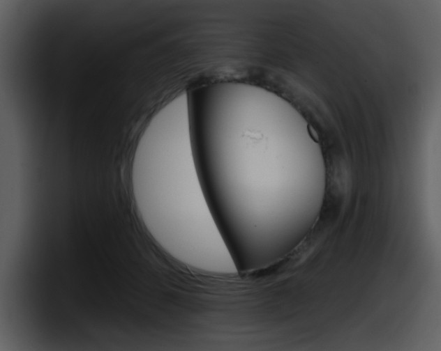 X0000098090512200804040729
