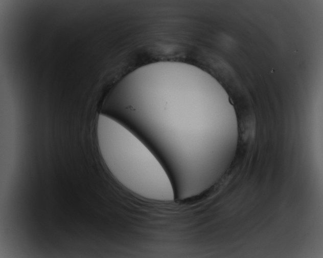 X0000098090515200804040729