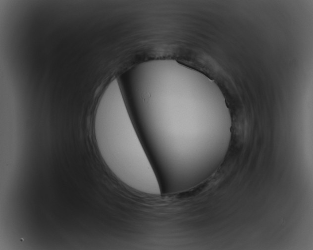 X0000098090516200804040729