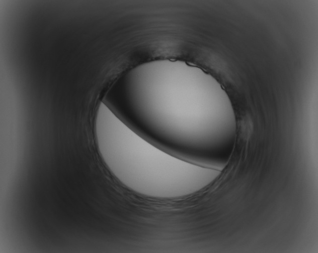 X0000098090517200804040729