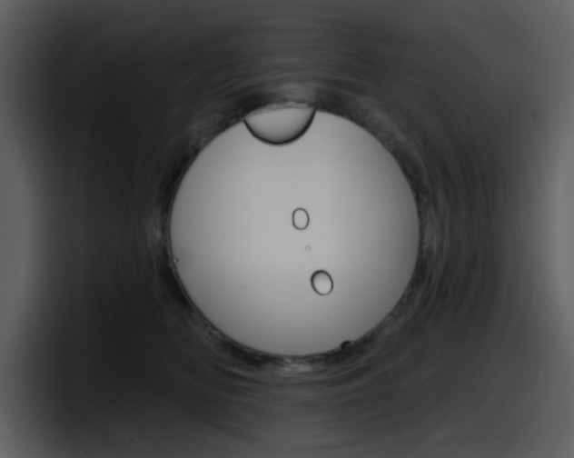 X0000098090518200804040729