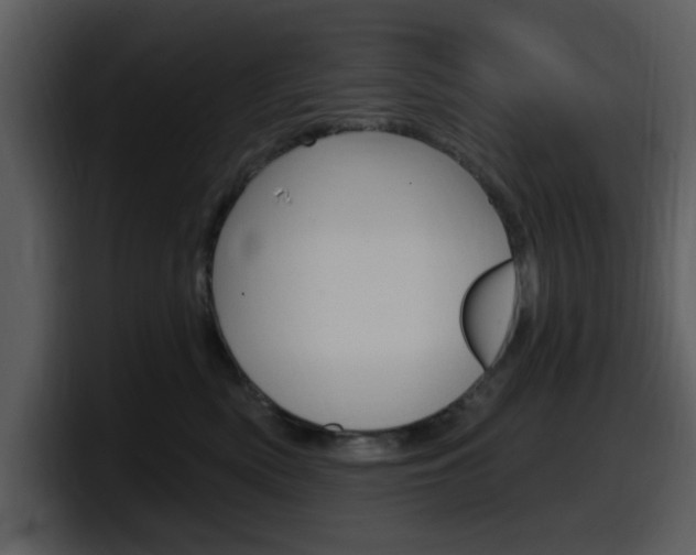 X0000098090522200804040729