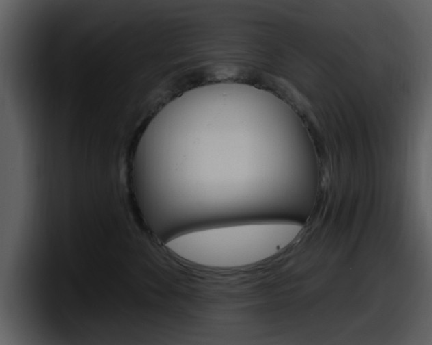 X0000098090524200804040729