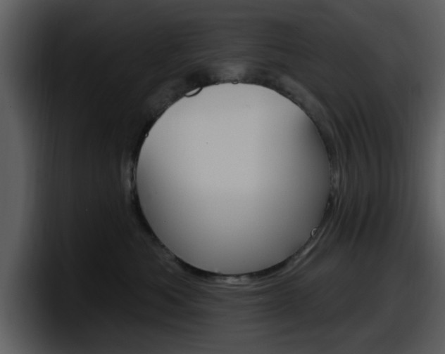 X0000098090525200804040729