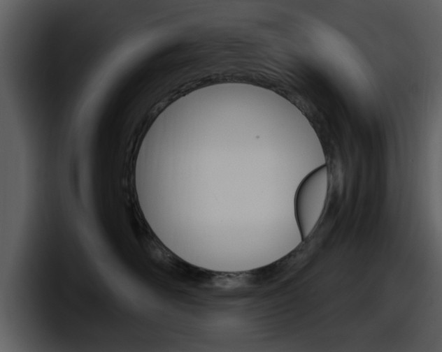 X0000098090526200804040729