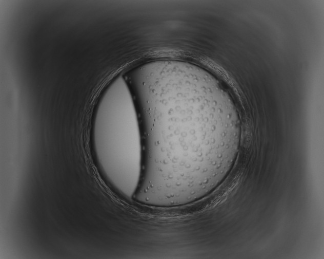 X0000098090529200804040728