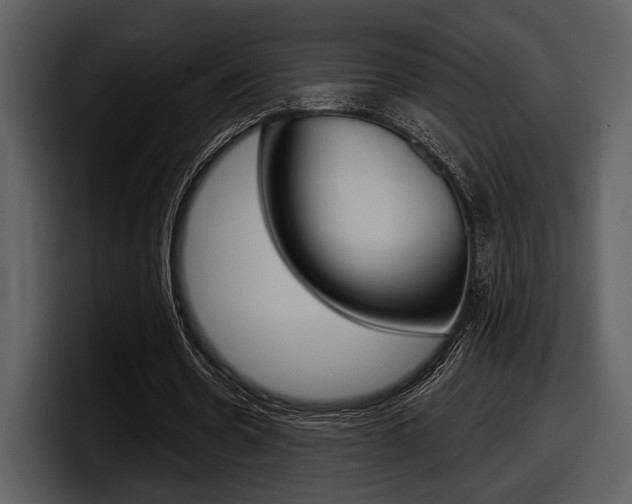 X0000098090530200804040728