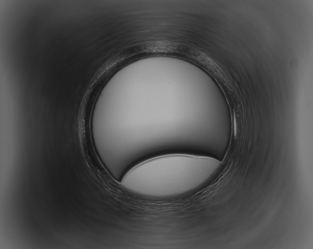 X0000098090531200804040728