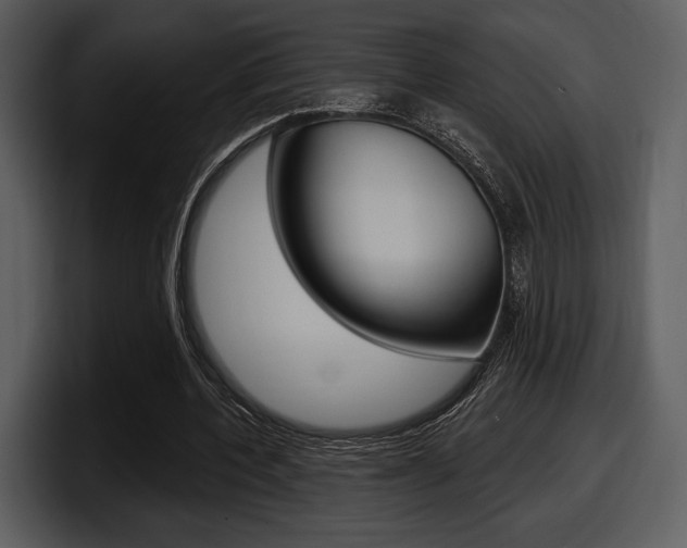 X0000098090532200804040728