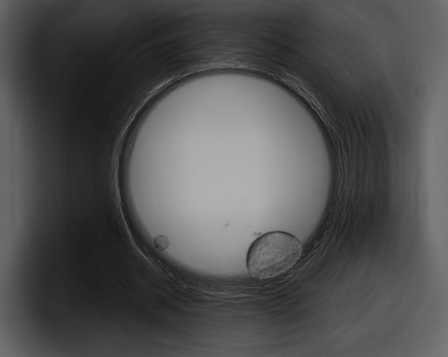 X0000098090534200804040728