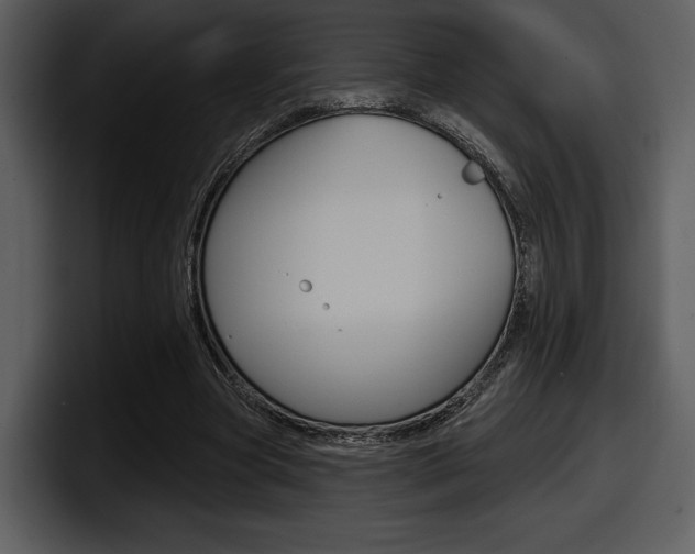X0000098090537200804040728