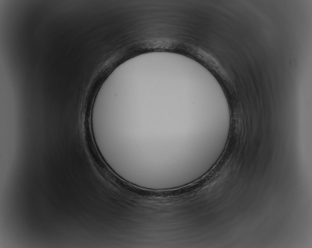 X0000098090538200804040728