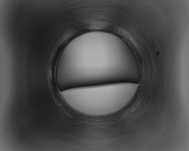 X0000098090539200804040728