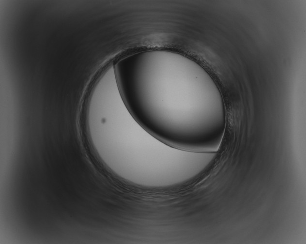 X0000098090540200804040728