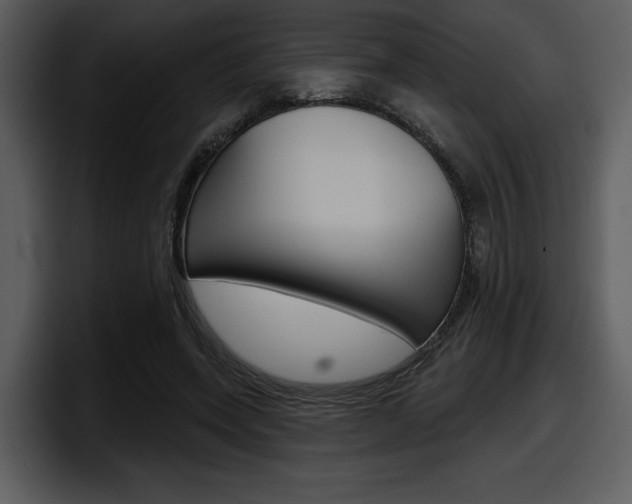 X0000098090543200804040728