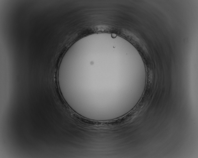 X0000098090545200804040728