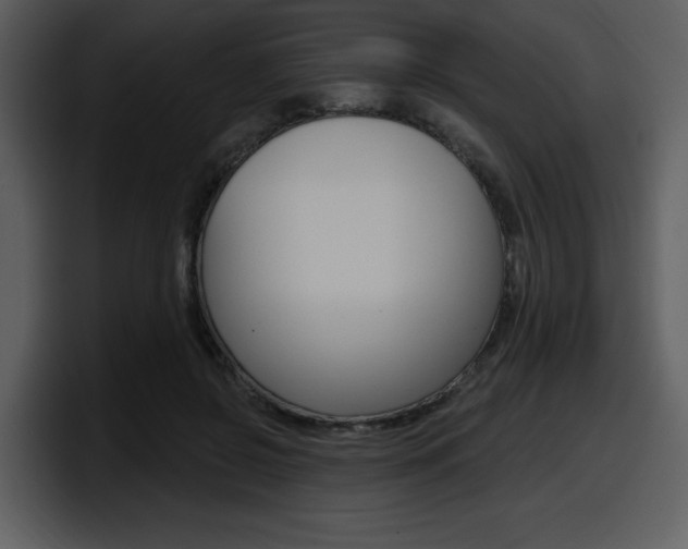 X0000098090550200804040728