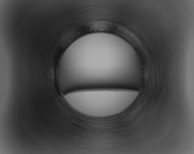 X0000098090551200804040728