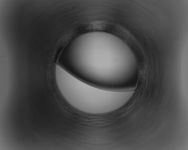 X0000098090552200804040728