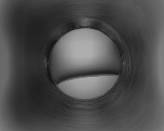 X0000098090555200804040728