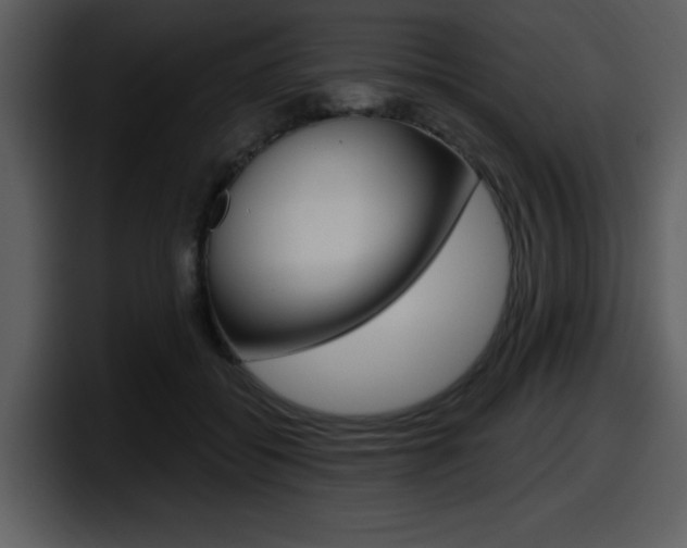 X0000098090556200804040728