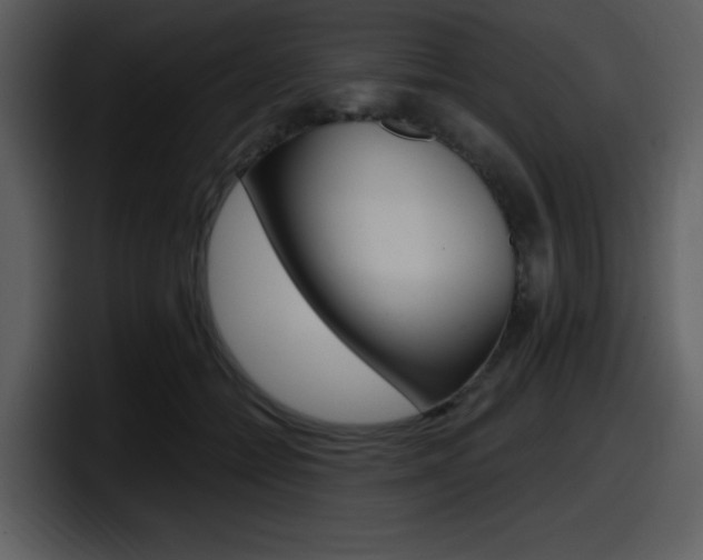 X0000098090558200804040728