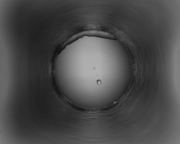 X0000098090560200804040728