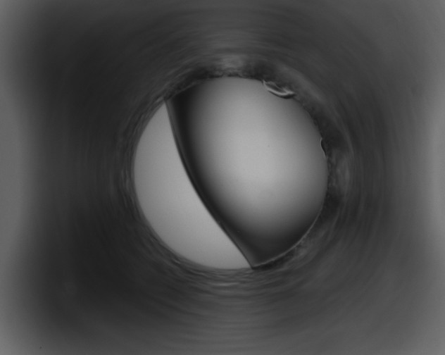 X0000098090562200804040728