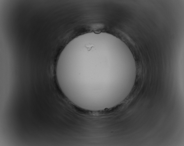 X0000098090565200804040729