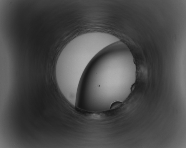 X0000098090566200804040729