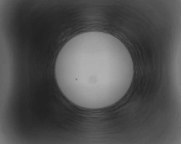 X0000098090568200804040729