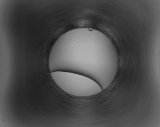 X0000098090569200804040729