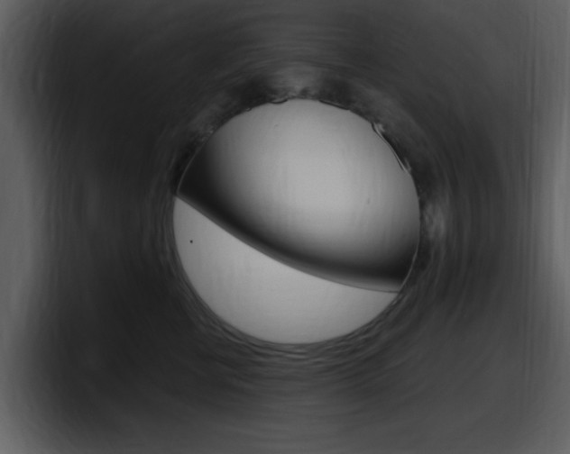 X0000098090570200804040729