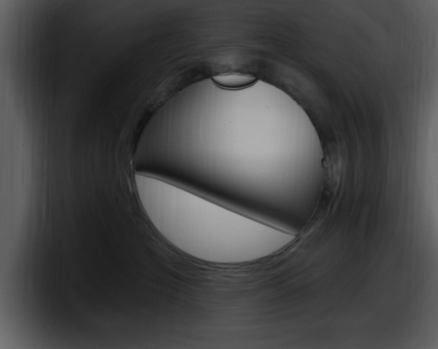 X0000098090574200804040729