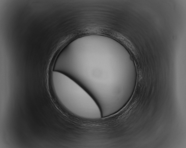 X0000098090578200804040728
