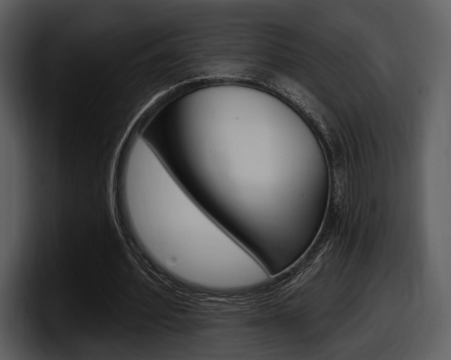 X0000098090580200804040728